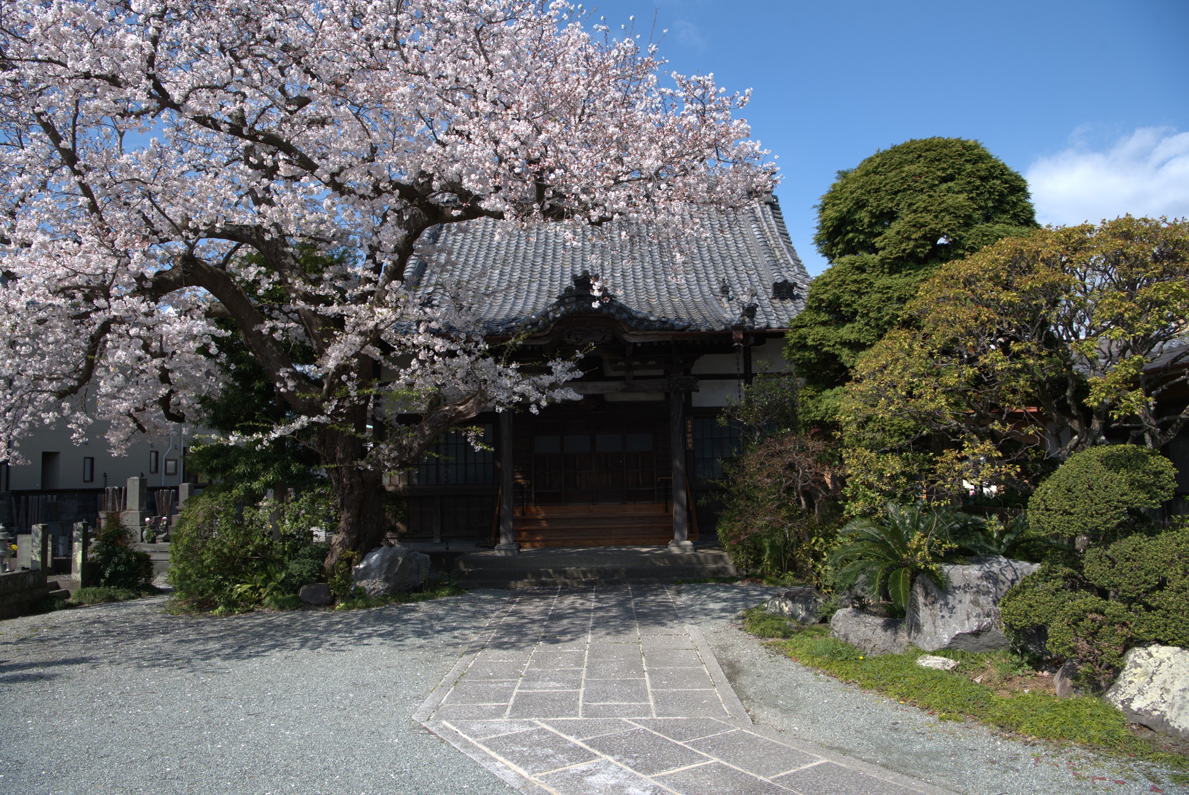 妙経寺